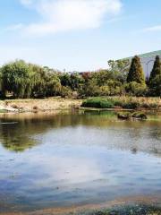 Lonehill Municipal Nature Reserve