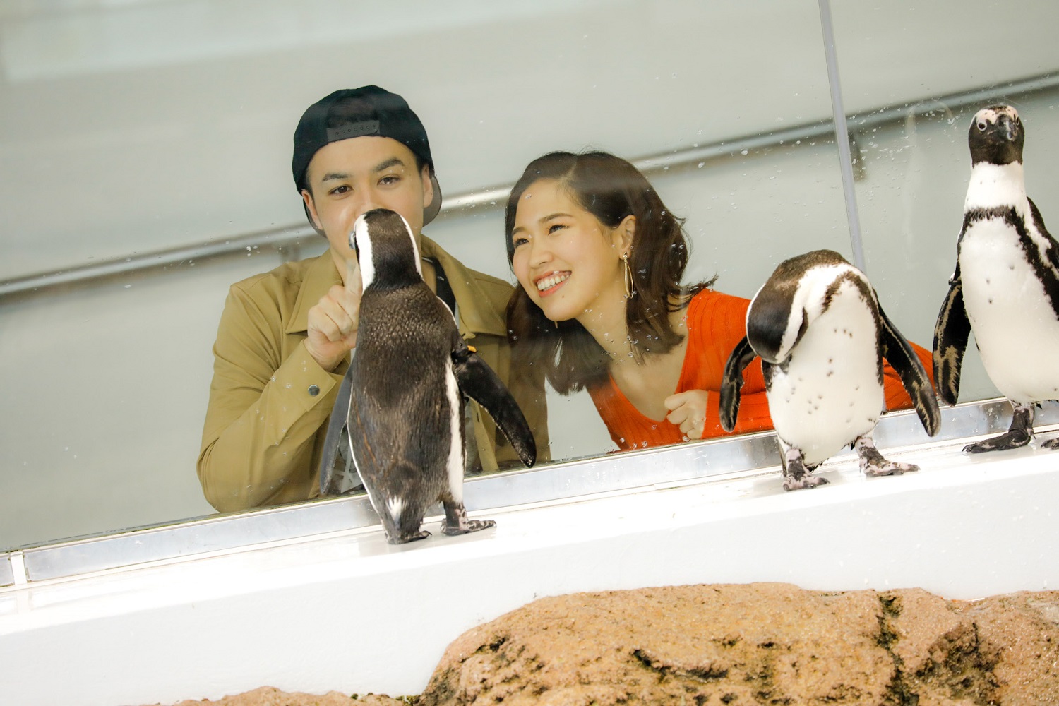Whar Are the Main Attractions near Kyoto Station? | Kyoto Aquarium