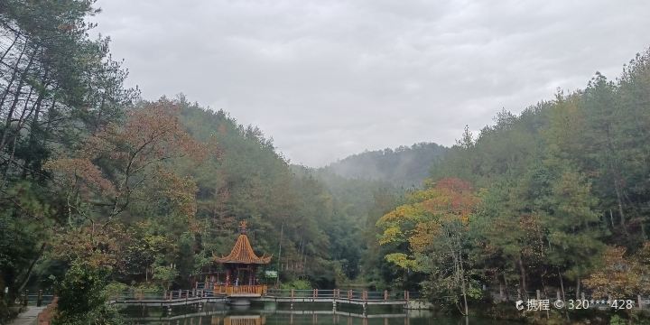 Fenghuangshan Forest Park
