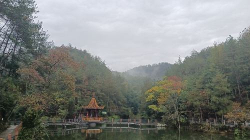 鳳凰山森林公園