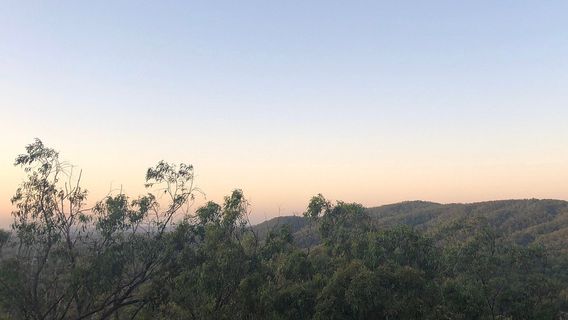 Wickham National Park