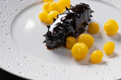 Gastro Esthetics at DaDong