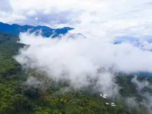 Ailao Mountain Nature Reserve