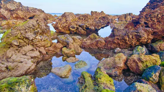 Heimaey Island, Vestmanna Islands