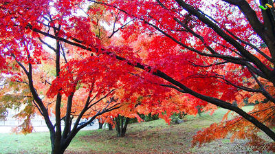 Roger Williams Park
