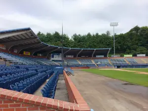 Asheville Tourists