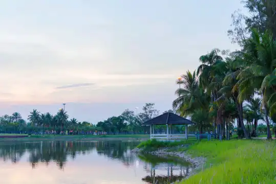 鄰近濱海公園的酒店