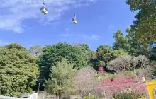 二龍喉公園