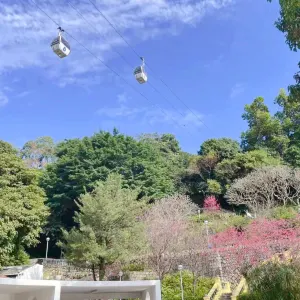 二龍喉公園