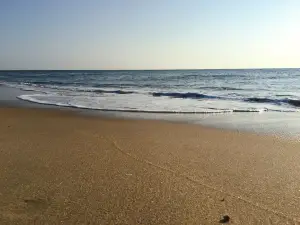Savannah Beach