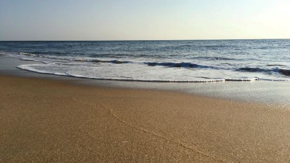 Savannah Beach