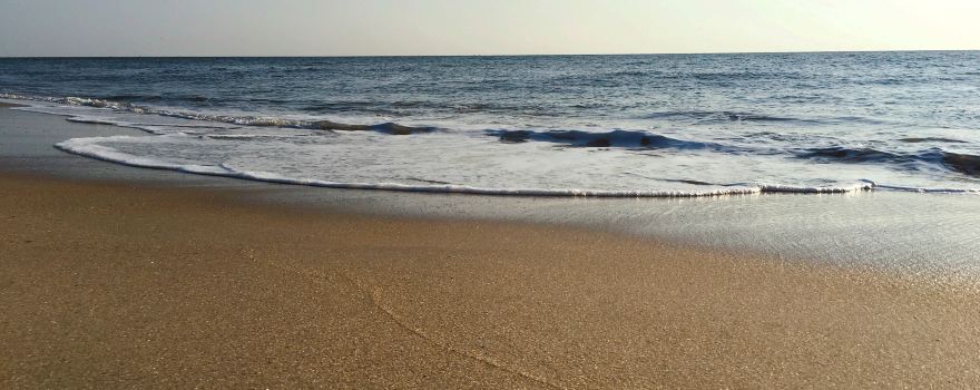 Savannah Beach
