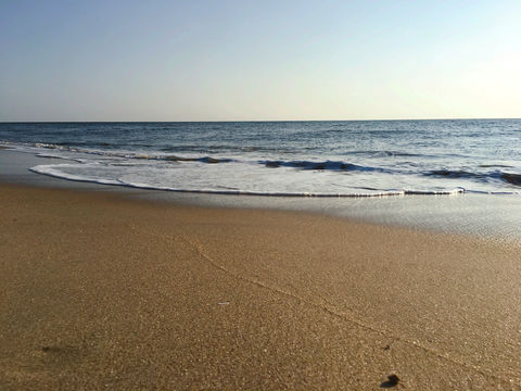 Savannah Beach