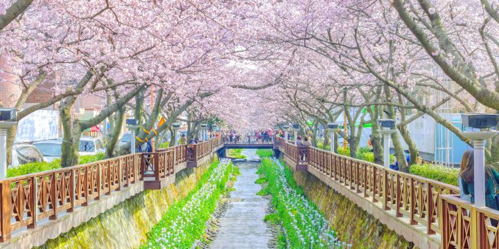 Yeojwacheon Stream