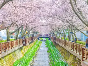 Yeojwacheon Stream