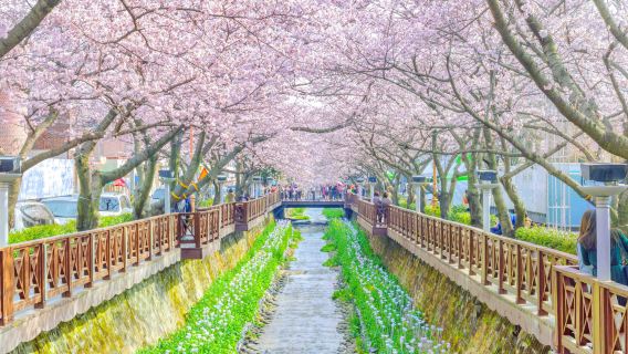 Yeojwacheon Stream