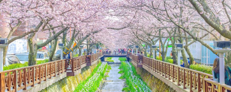 Yeojwacheon Stream