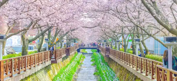 Changwon