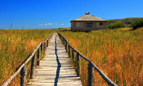 Gonggeer Grassland