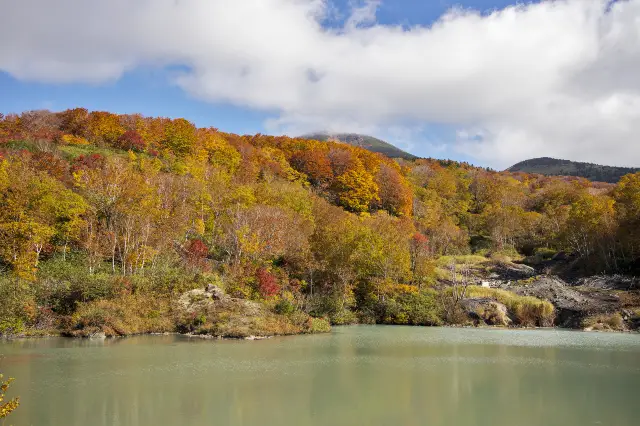 Maple Leaf Viewing in Aomori