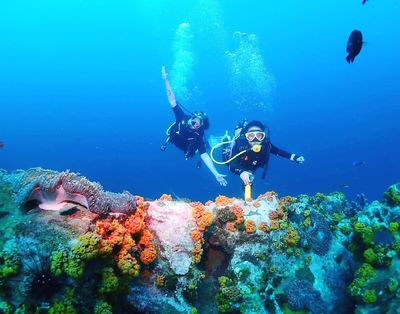 Lipe Dive Station.