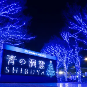 澀谷青之洞窟