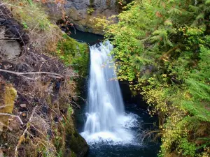 Deschutes Falls Park