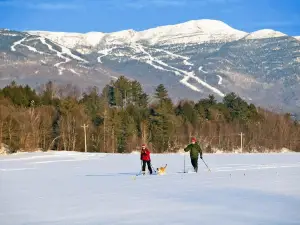 Cross-country ski area Vesec