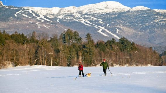 Cross-country ski area Vesec