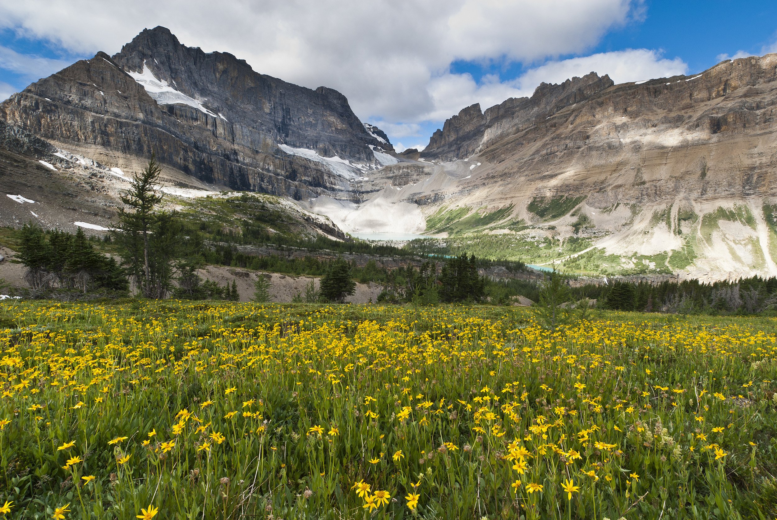 Banff National Park