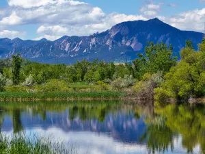 Walden Pond State Reservation