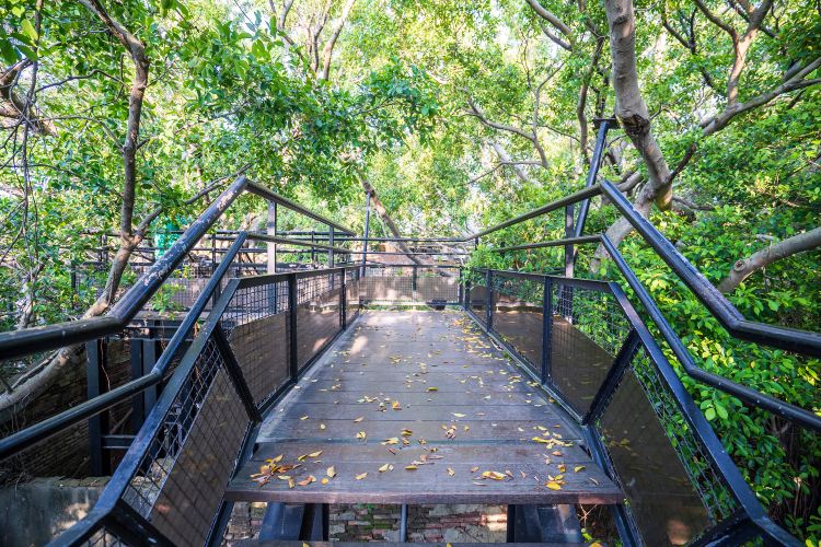Anping Tree House