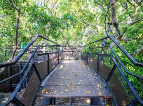 Maison arboricole d’Anping