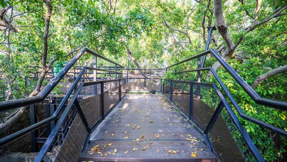 Anping Tree House