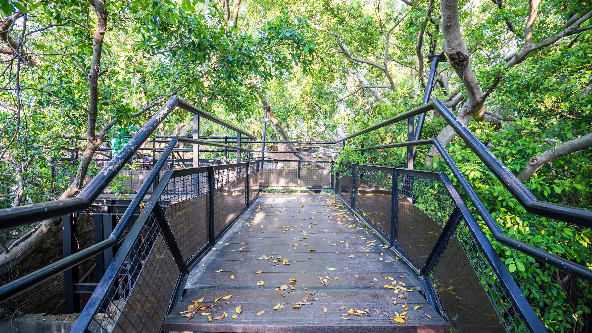 Hotels near Anping Tree House