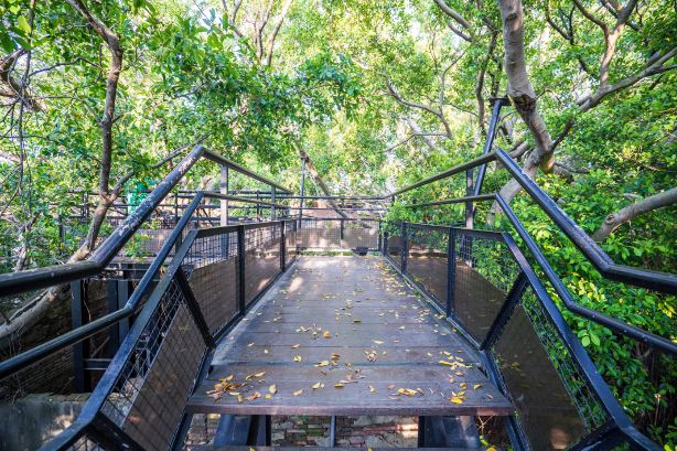 Anping Tree House