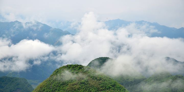 Jiuyishan National Nature Reserve