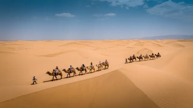 Camel Riding in Zhongwei