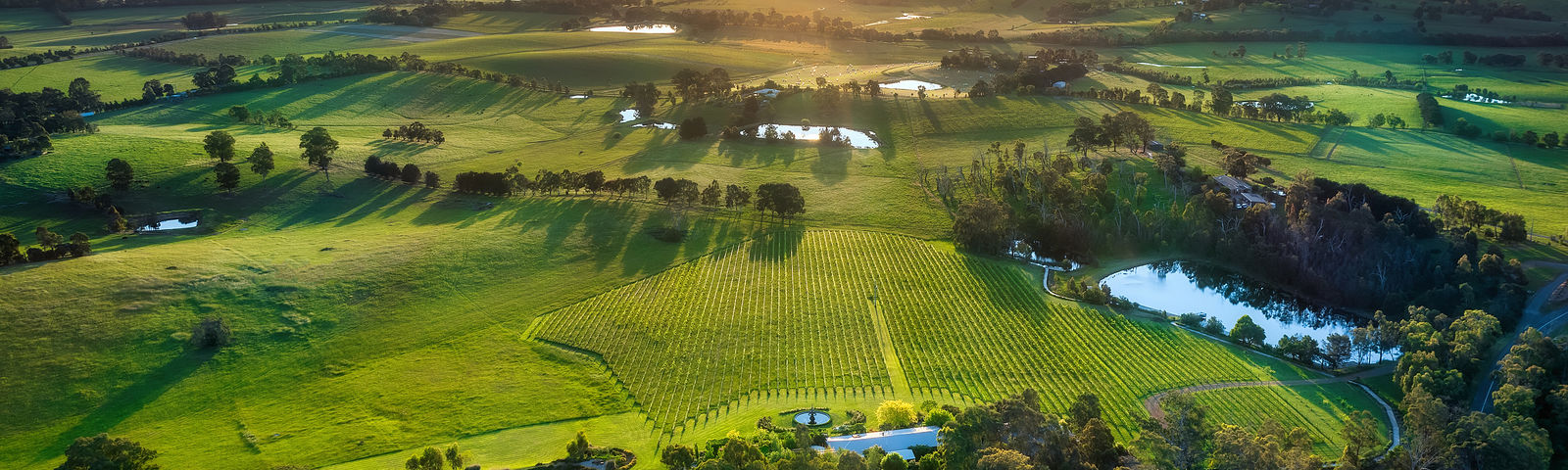 LilydaleTransportasi Lokal
