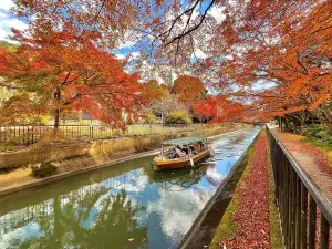 Attrazioni per la visione autunnale a Prefettura di Shiga: le opzioni più popolari