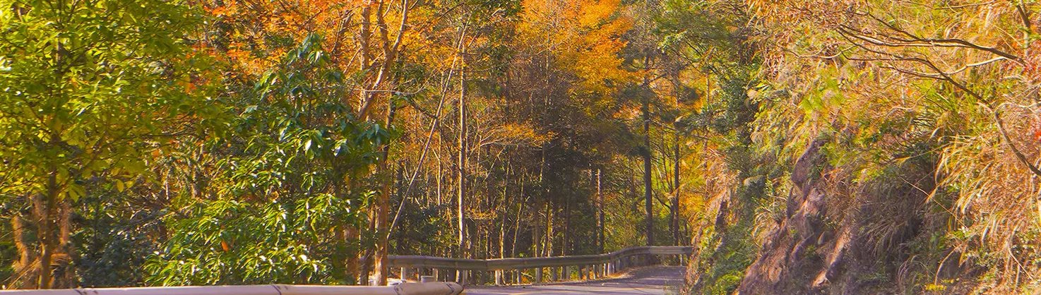 Attrazioni per la visione autunnale