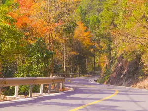 Attrazioni per la visione autunnale a Wuyi: le opzioni più popolari
