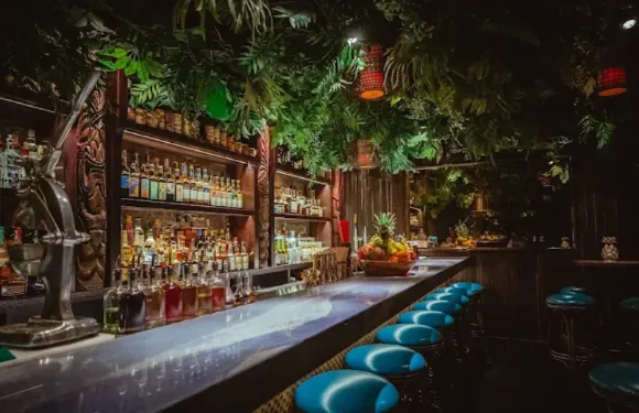 The Bamboo Room at Three Dots and a Dash