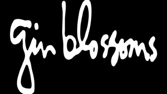Solana Beach | Gin Blossoms Concert