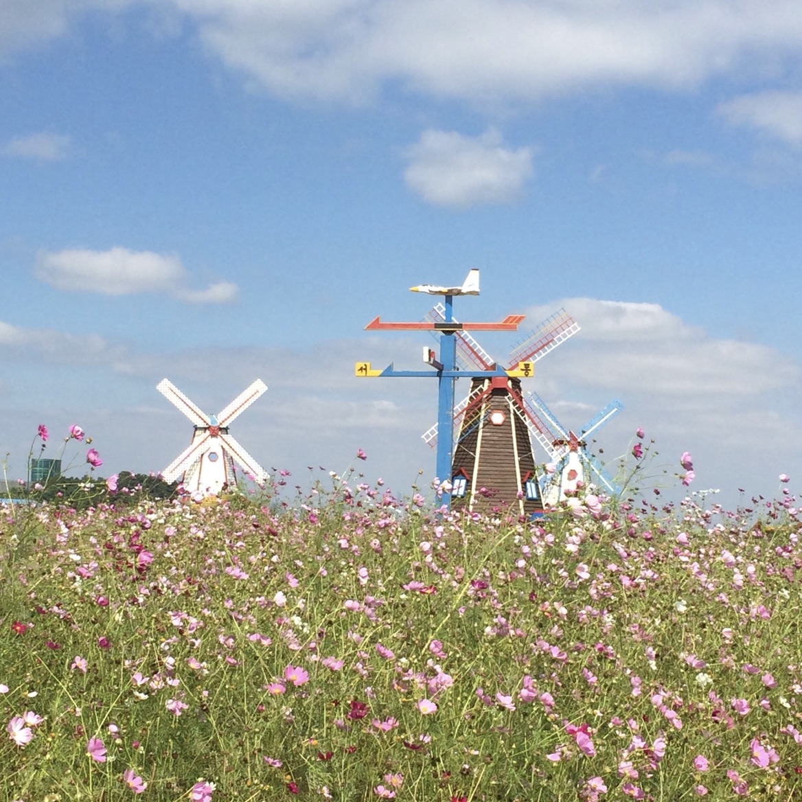 韓國隱世荷蘭風車園 Trip Com 仁川trip Moments 貼文