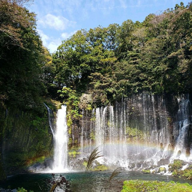 【富士宮】白糸の滝