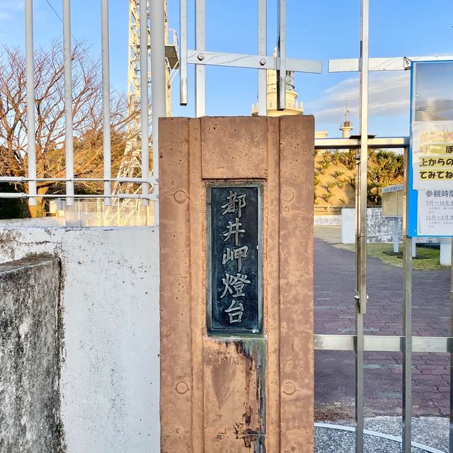 野生の馬が歩いてる"都井岬"