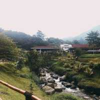 le eminance puncak