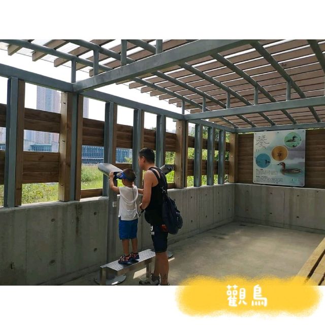 香港濕地公園