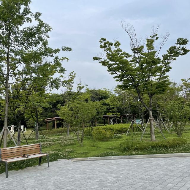 데이트하기 딱 좋은 수원 효원공원
